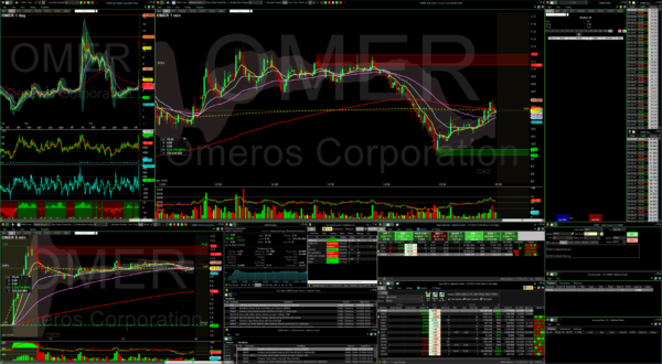 Medved Trader platform dashboard
