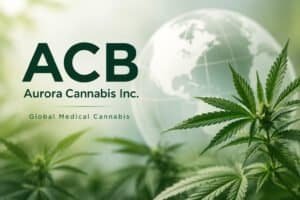 acbstock hub