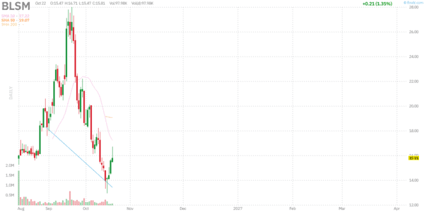 BLSM Stock Hub: BlossomHill Therapeutics News, SOLARA and BH-30643 1 Daily stock chart for BLSM, latest regular session October 22, 2026